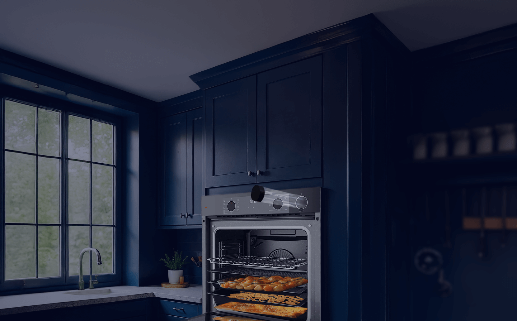 Built-in Ovens